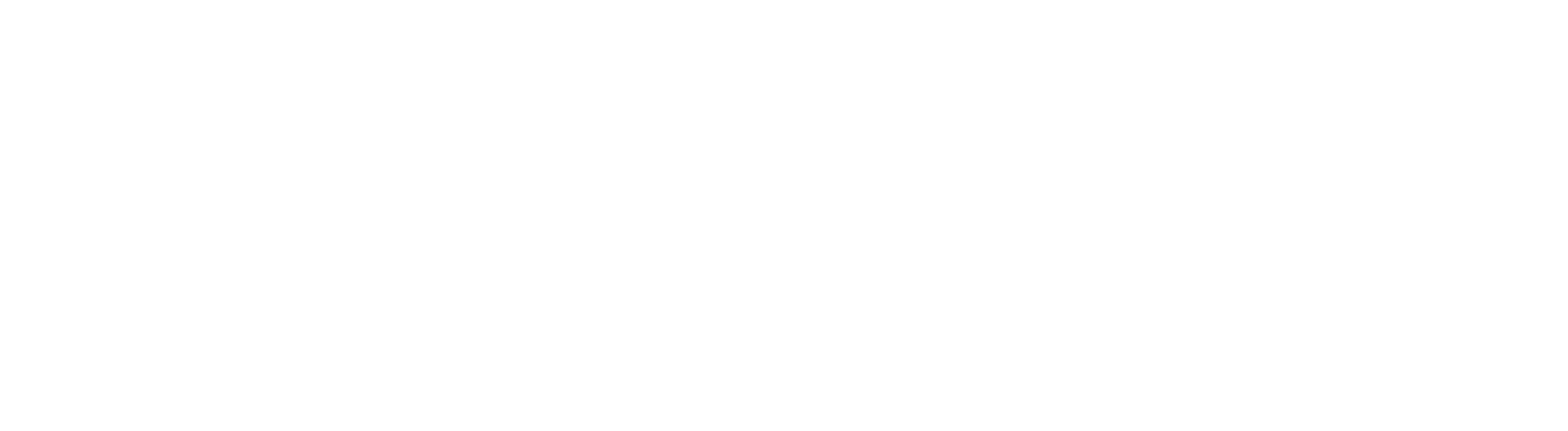 Bermuda Logo
